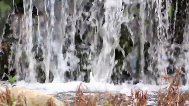 Хвалите Господа смотреть онлайн