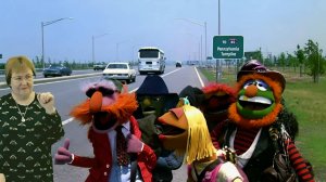 Скоро диаспоры признают экстремистами и при сопротивлении будут .... ● Трамп Путину всё выдаст.