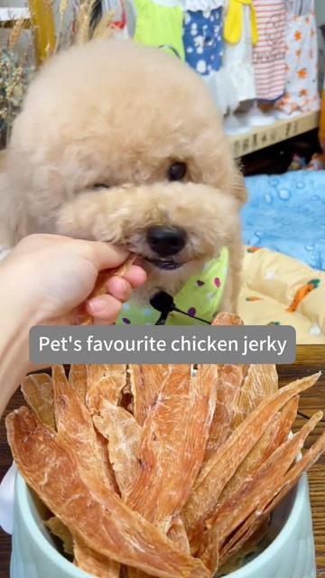 China pet products -dog food and dog treats pet snacks #dog #dogsnacks #pets #dogfood смотреть онлайн