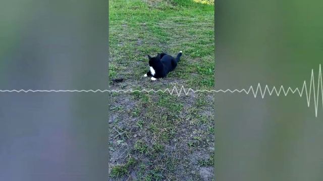Когда мама монстр👹||When mom is a monster👹 смотреть онлайн