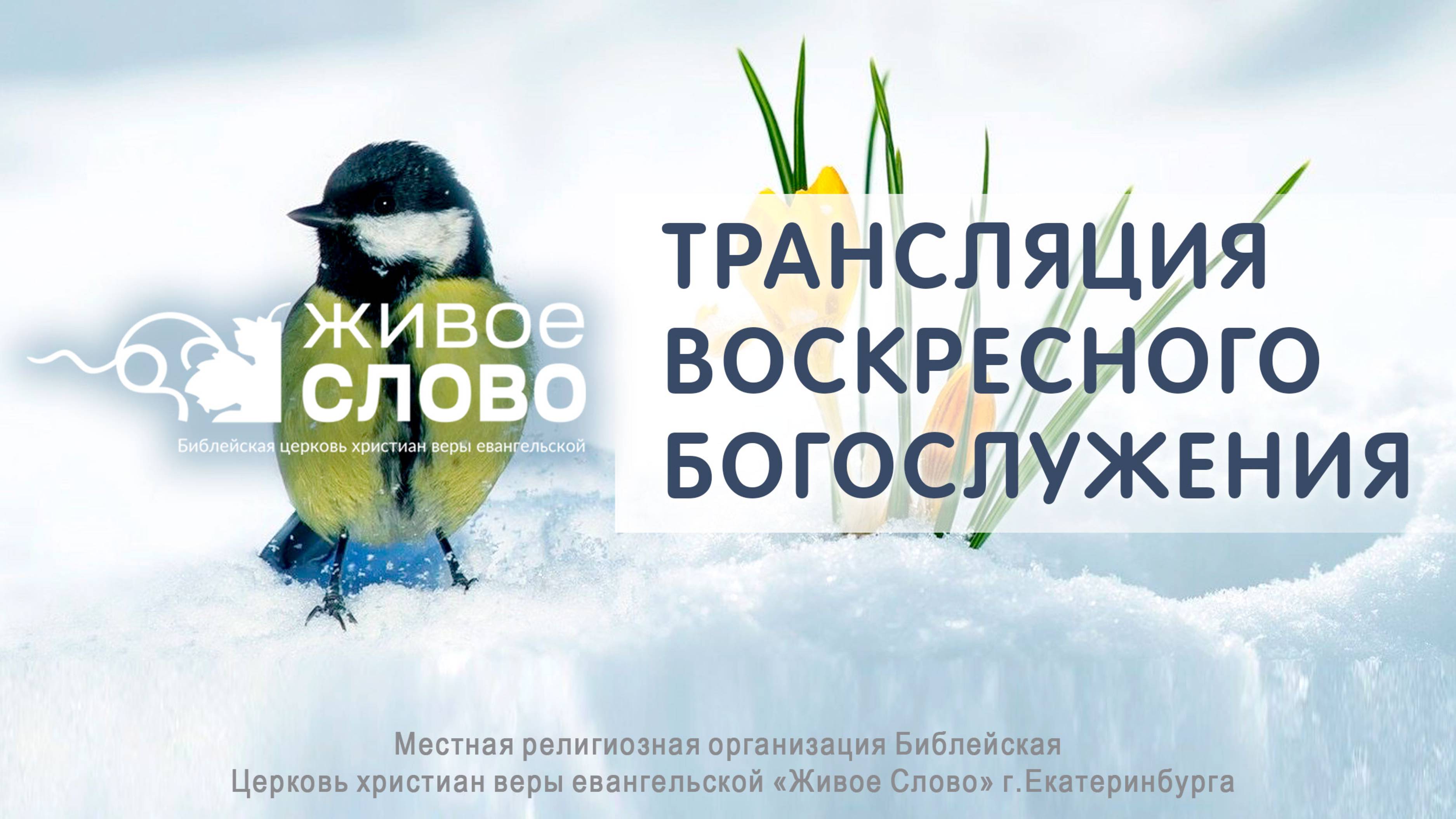 9 марта 2025 в 11:00 (ЕКБ) / Воскресное #Богослужение / Церковь «Живое Слово» смотреть онлайн