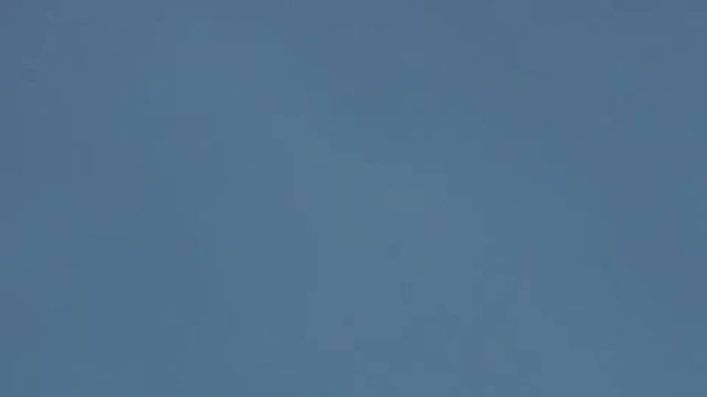 Стая смотреть онлайн