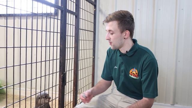 Getting Close up with Otters | Episode #7 смотреть онлайн