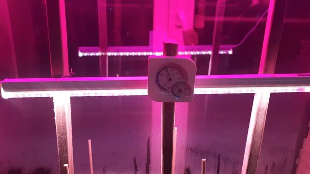 Парник с огурцами v2.0 смотреть онлайн