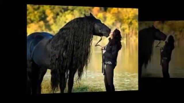 новый год посвящается лошади 2014 смотреть онлайн