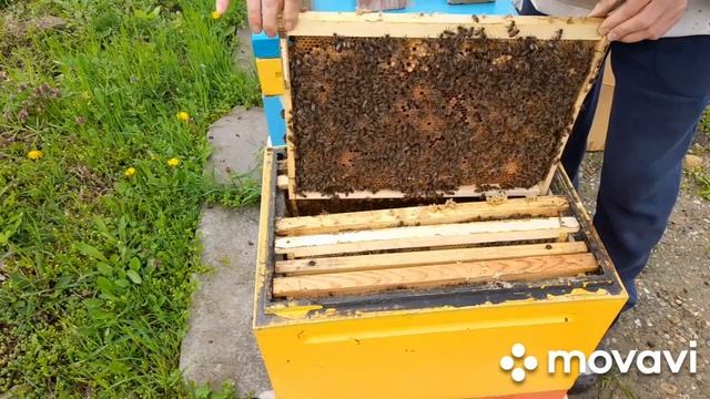 ПОРА РАСШИРЯТЬ! 7.04.2023 смотреть онлайн