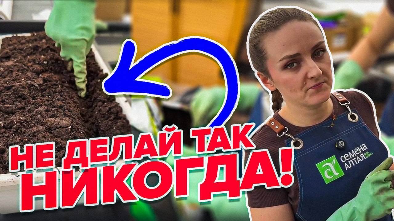 ГЛАВНЫЕ ОШИБКИ ПРИ ПОСЕВЕ смотреть онлайн