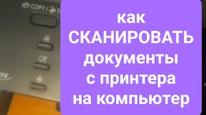Как СКАНИРОВАТЬ документы с принтера на компьютер простыми словами
