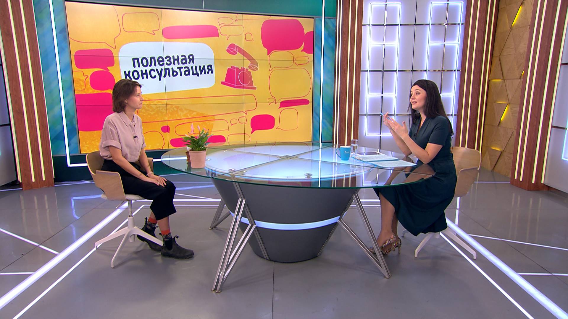 Правила успешного перехода комнатных растений от зимы к весне. консультация специалиста