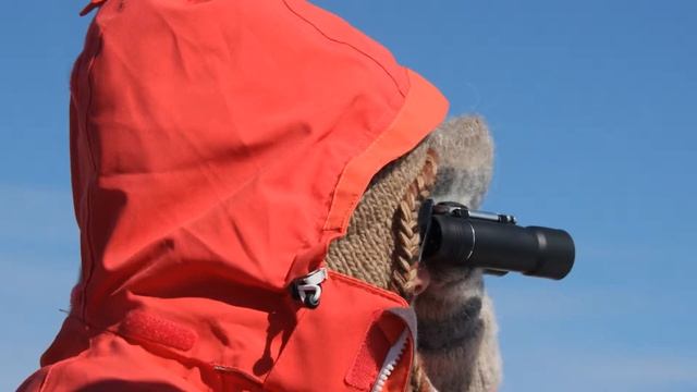 GREENLAND 2012 смотреть онлайн