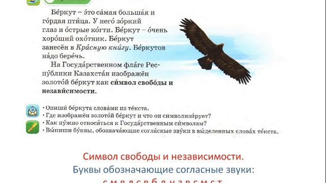 Такие разные птицы 3 класс Русский язык 3сынып Орыс тілі урок 7 смотреть онлайн