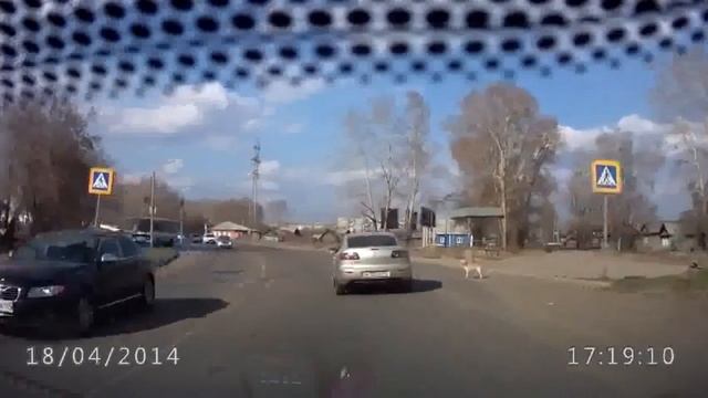 Учитесь смотреть онлайн