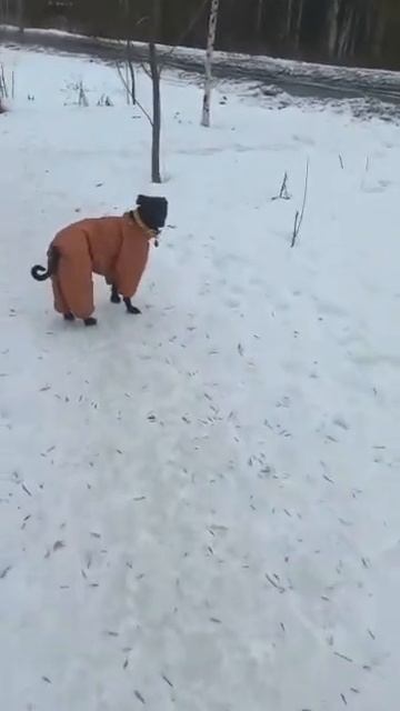 Ника смотреть онлайн