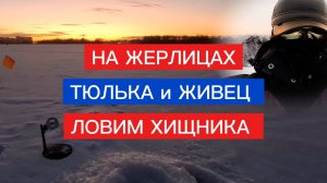 СУДАК на ТЮЛЬКУ  и на ЖИВЦА! ЛОВИМ СУДАКА и ЩУКУ НА ЖЕРЛИЦЫ!