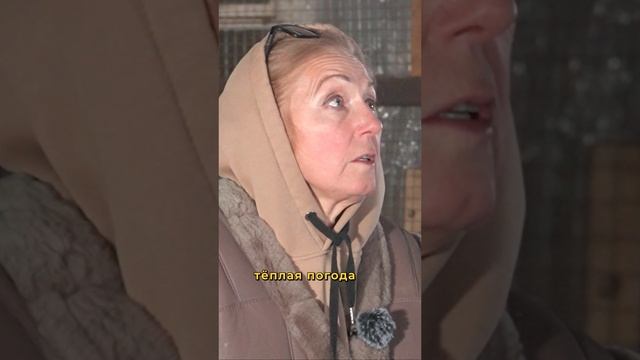 Сложно ли содержать ослиную ферму? #ослы #фермерство смотреть онлайн