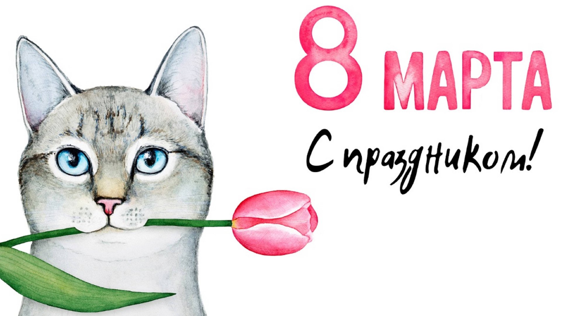 Патрик Кэш - 8 марта! Где?.. автор ролика Светлый... смотреть онлайн