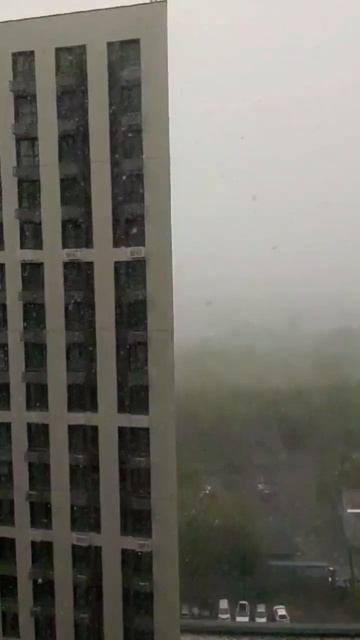Погода в Москве. 8 мая 2024 г. смотреть онлайн