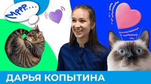 Почему кошки мурчат и что это значит? | Короче, Омск 593