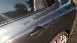 Покрасили!Черный ксералик