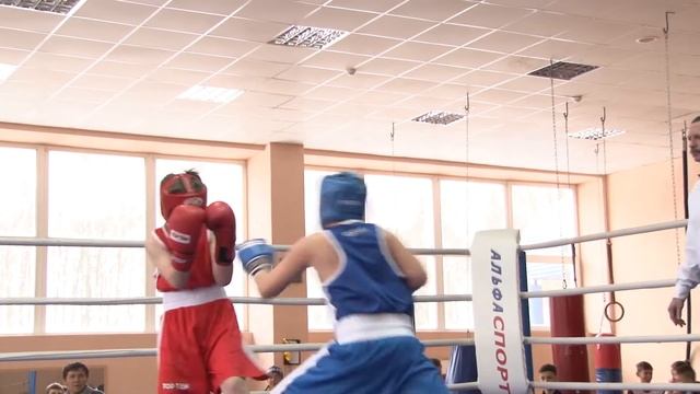 Турнир по боксу смотреть онлайн