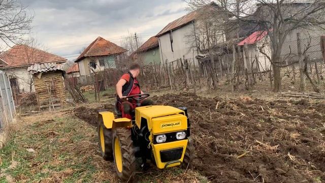 Pasquali la arat ! смотреть онлайн