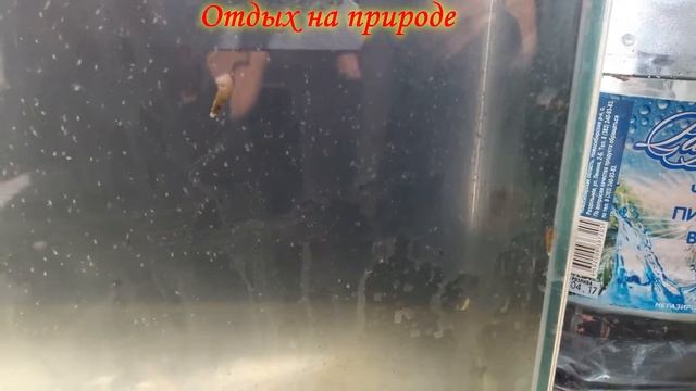 Разведение Дафнии часть вторая заселение смотреть онлайн