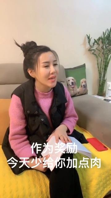 The Daily funniest dog videos 2022 #Shorts смотреть онлайн