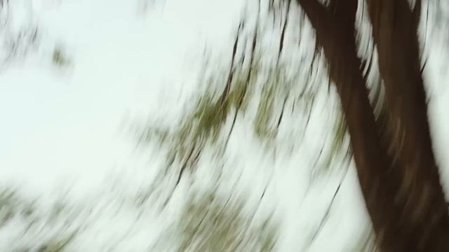 Rhino Charge Ivan Carter смотреть онлайн
