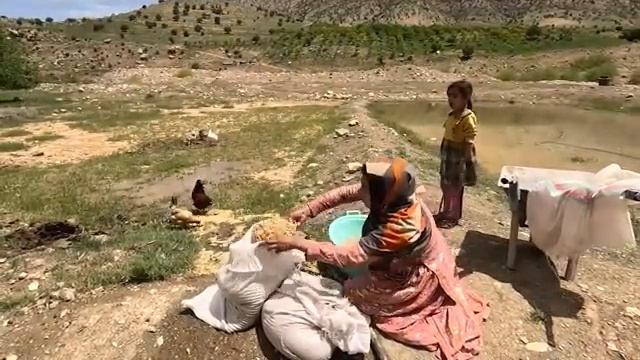 01.05.2024 Выращивание риса матерью-одиночкой почва и успех смотреть онлайн