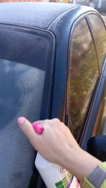 ОСВЕЖИТЕЛЬ ВОЗДУХА ЭРСАГ ПРОТИВ МОРОЗА НА ЛОБОВОМ СТЕКЛЕ АВТО💣💣💣