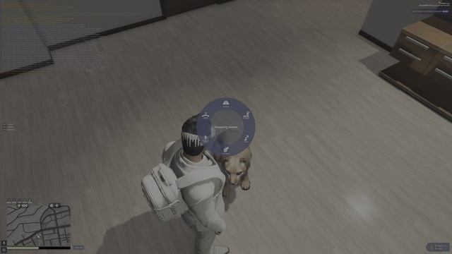 Баг Дрессировки