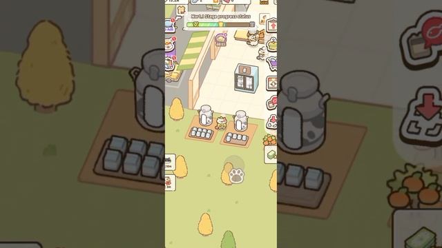 CatMart смотреть онлайн