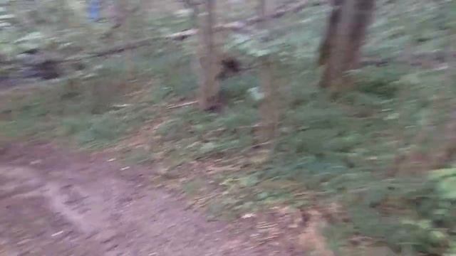 эндуро прохват-по следам гонки "в Щепки" смотреть онлайн