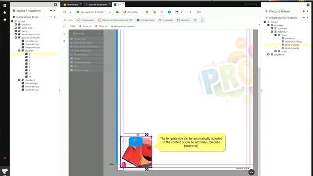 Tutorial Active WebToPrint : Catalogs WireFrame with PimCore смотреть онлайн