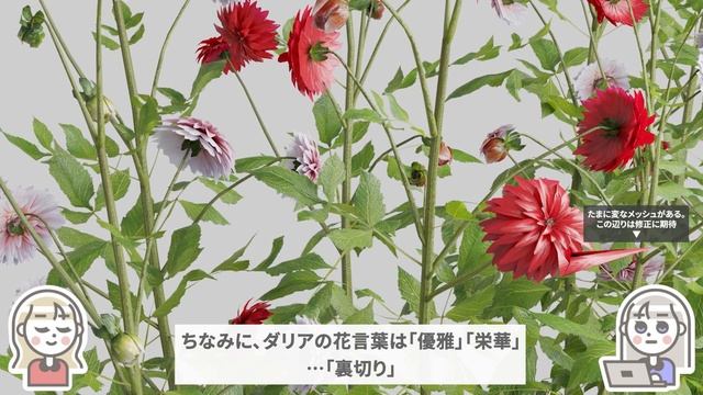 花が大幅に増量！「Botaniq6.5」植物素材集Blenderアドオンがさらにアップデート。桜やダリアなど、花のアセットが大量追加 смотреть онлайн