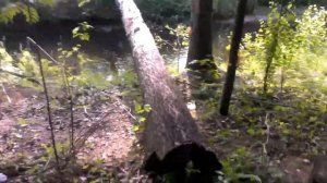 Аммонал в прочном корпусе. Осколочное действие