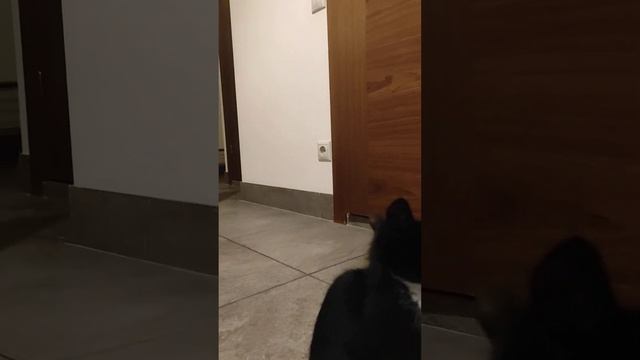 чудесные близнецы, 3 мес. смотреть онлайн