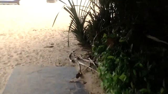 Botany Beach Resort 3*