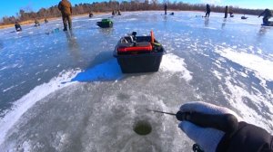 Здесь не нужны Эхолоты! Глубина 1 метр. Рыба сошла с Ума. Жор Судака со льда