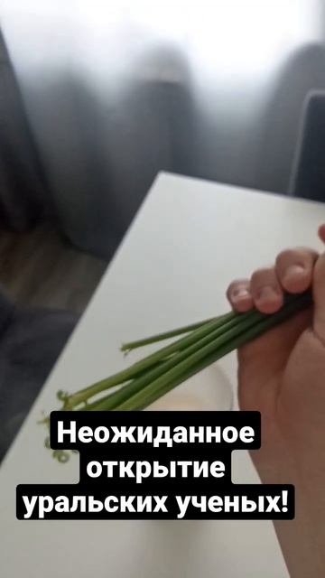 Казалось бы обычный ирис смотреть онлайн