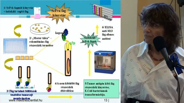 "A rosszból jót kihozni" Kotlán Beatrix, Ph.D. biológus kutató előadása смотреть онлайн