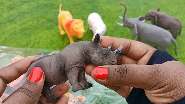 Jungle animals unboxing - Jodi Animals - Polar bear, Bear, Jaguar, Elephant, Rhinoceros, Lion смотреть онлайн