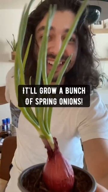 Spring Onions | creative explained смотреть онлайн