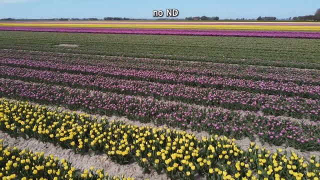 Skyreat ND filter set pro for DJI Mavic Mini / Mini 2 test смотреть онлайн