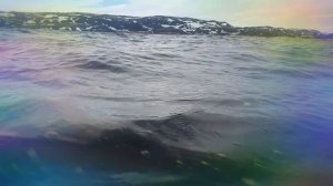 мягкие волны в Териберке. май 2018