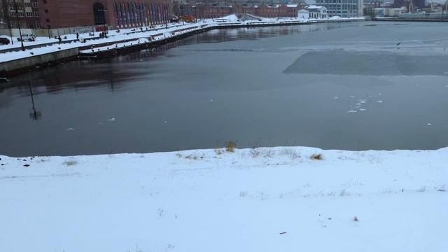 Eagles in Vladivostok смотреть онлайн