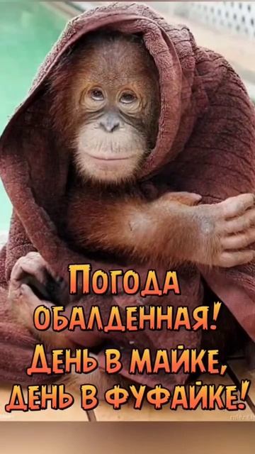 #погода #мирдружбажвачка #работа #юмор #приколы смотреть онлайн