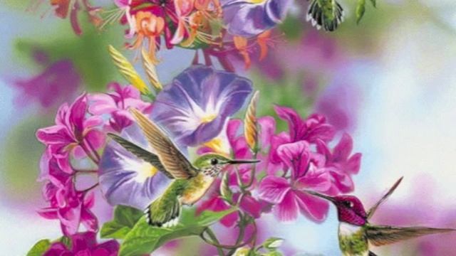 Giovanni Battista Sammartini - Notturno III (Minuetto)