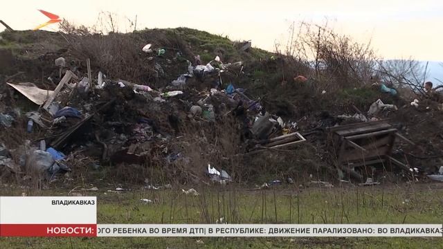 Директор регионального филиала «Эко Альянс» провел прием граждан смотреть онлайн