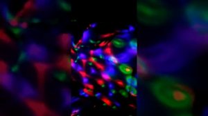 Дискотека века дискотека века дискотека века